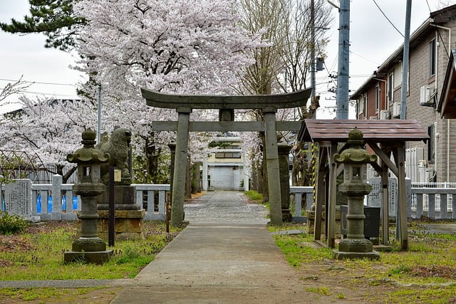 Free download shrine lantern guardian dogs torii free picture to be edited with GIMP free online image editor