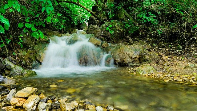 Free download Shutter Stop Green Water -  free photo or picture to be edited with GIMP online image editor