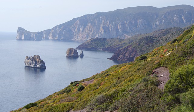 Free download side vegetation sea mediterranean free picture to be edited with GIMP free online image editor