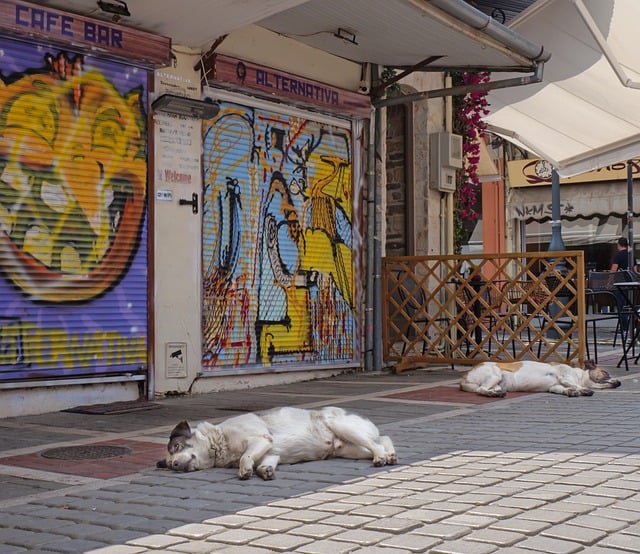 Free download siesta lunch break cafe bar greece free picture to be edited with GIMP free online image editor