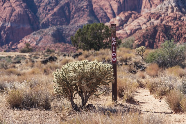 Free download sign desert rock cactus trail red free picture to be edited with GIMP free online image editor