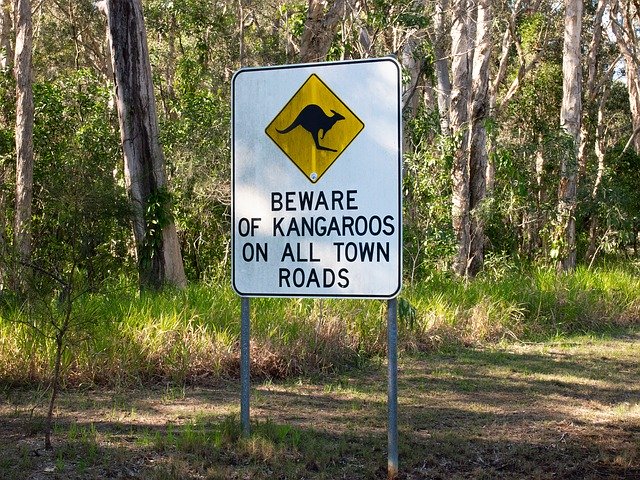 Free download Sign Kangaroos Townroads -  free photo or picture to be edited with GIMP online image editor