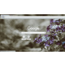 silent purple  screen for extension Chrome web store in OffiDocs Chromium