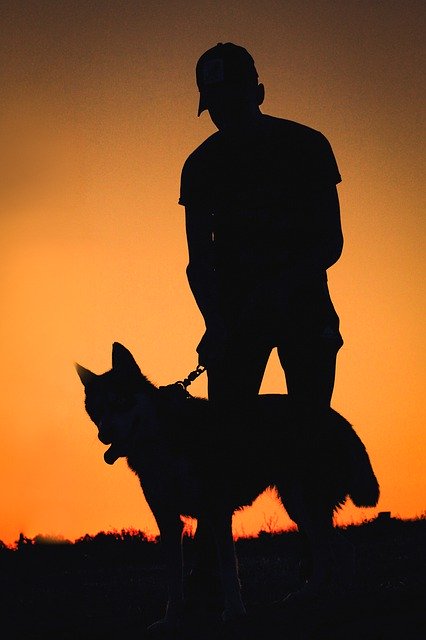 Free download Silhouette Dog Sunset Man With His -  free photo or picture to be edited with GIMP online image editor