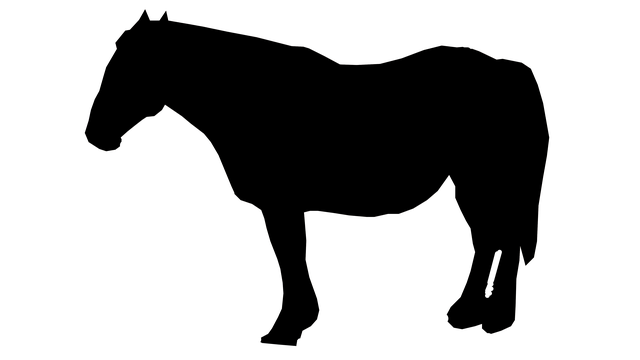 Free download Silhouette Horse Field Horseback -  free illustration to be edited with GIMP free online image editor