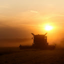 Silhouette of Heavy Equipment during Sunset  screen for extension Chrome web store in OffiDocs Chromium
