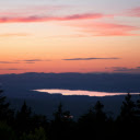 Silhouette of Pine Trees during Golden Hour  screen for extension Chrome web store in OffiDocs Chromium