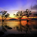Silhouette of Trees Near Body of Water  screen for extension Chrome web store in OffiDocs Chromium