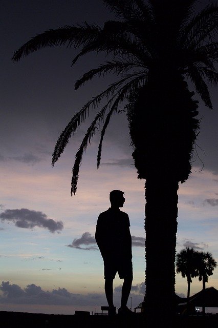 Free picture Silhouette Palm Tree Teenage -  to be edited by GIMP free image editor by OffiDocs