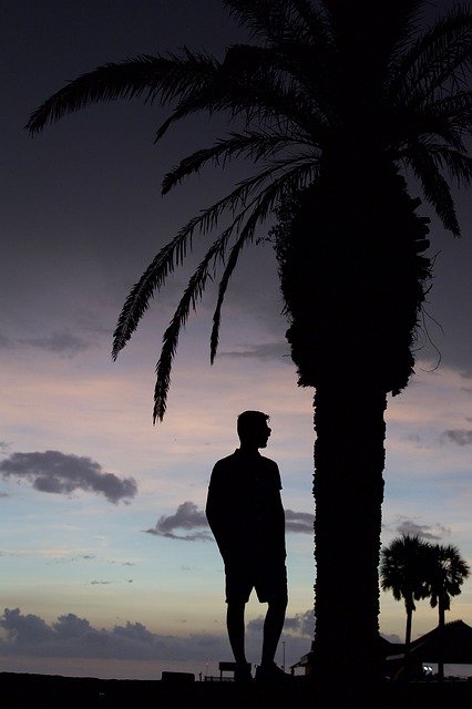 Free download Silhouette Palm Tree Teenage -  free photo or picture to be edited with GIMP online image editor