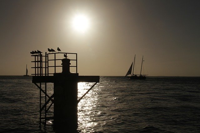 Free download Silhouette Sunset Birds -  free photo or picture to be edited with GIMP online image editor