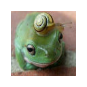 Silly Animal of the Day  screen for extension Chrome web store in OffiDocs Chromium