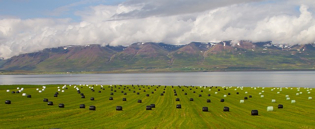 Free download silo bales grass bales landscape free picture to be edited with GIMP free online image editor