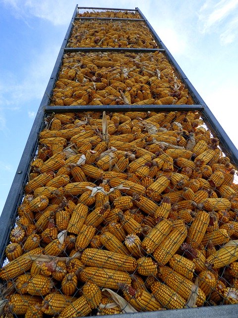 Free download Silo Corn Agriculture -  free photo or picture to be edited with GIMP online image editor