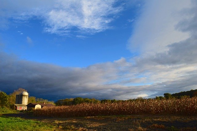 Download gratuito Silo Farm Barn - foto o immagine gratuita da modificare con l'editor di immagini online di GIMP