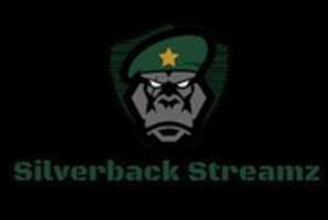 Free download silverback free photo or picture to be edited with GIMP online image editor