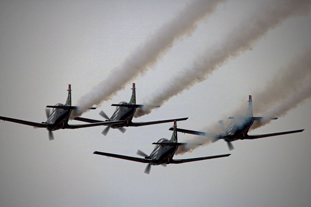 Free download silver falcons formation free picture to be edited with GIMP free online image editor