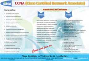 Free download SINA offer CCNA free photo or picture to be edited with GIMP online image editor