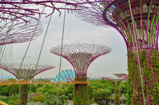 무료 다운로드 Singapore Garden Hanging - 무료 사진 또는 GIMP 온라인 이미지 편집기로 편집할 사진