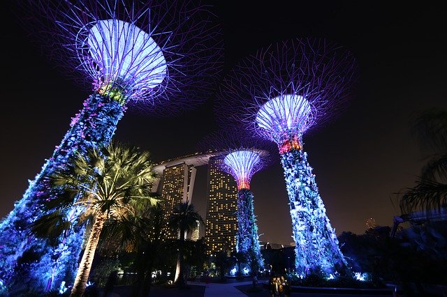 הורדה חינם Singapore Gardens By The Bay At - תמונה או תמונה בחינם לעריכה עם עורך התמונות המקוון GIMP