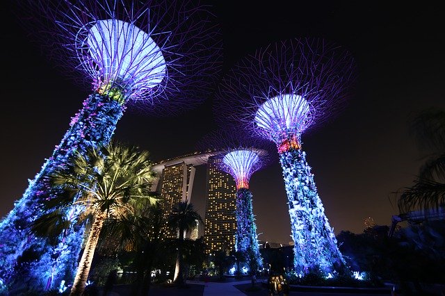 Безкоштовно завантажте Singapore Gardens By The Bay At — безкоштовну фотографію чи зображення для редагування за допомогою онлайн-редактора зображень GIMP