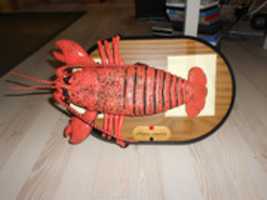 Free download Singing Lobster listing Pictures free photo or picture to be edited with GIMP online image editor