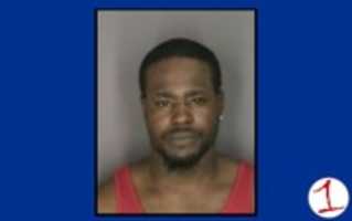 Free download singleton free photo or picture to be edited with GIMP online image editor