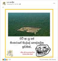 Free download sinharaja_amazon2 free photo or picture to be edited with GIMP online image editor