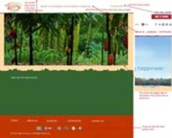 Free download Site Mock Up free photo or picture to be edited with GIMP online image editor