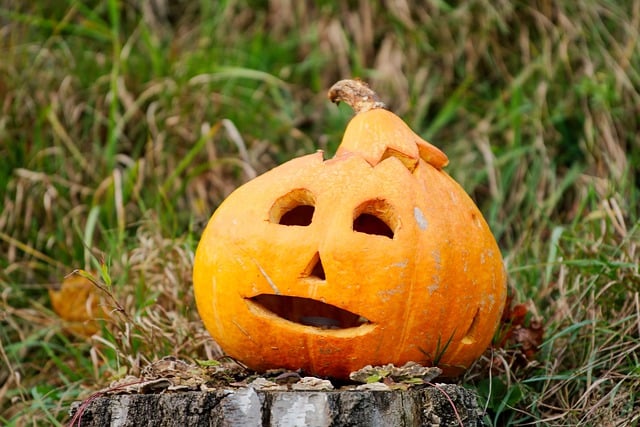 Free download sitting orange organic country free picture to be edited with GIMP free online image editor