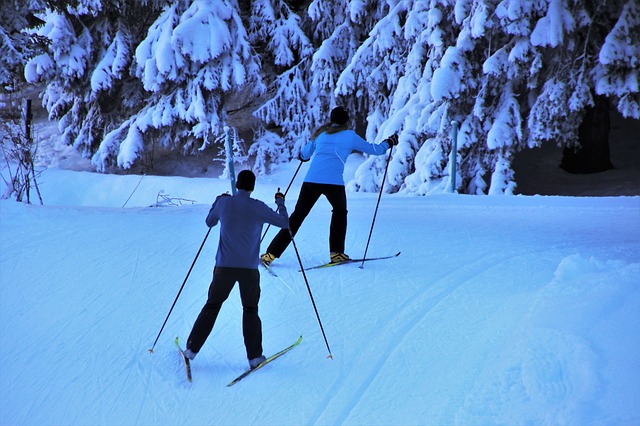 Gratis download skiërs ski's sneeuw winter besneeuwd gratis foto om te bewerken met GIMP gratis online afbeeldingseditor