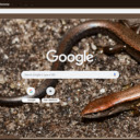 Skink  screen for extension Chrome web store in OffiDocs Chromium