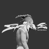 Free download Skins free photo or picture to be edited with GIMP online image editor