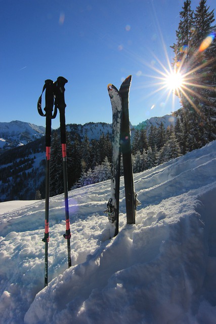 Free download ski snow winter ski poles sticks free picture to be edited with GIMP free online image editor