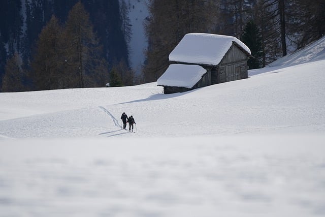 Free download ski touring snow winter cold cabin free picture to be edited with GIMP free online image editor