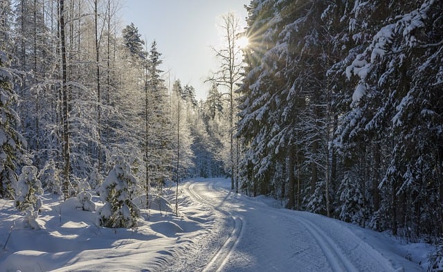 Free download ski trail skiing snow winter free picture to be edited with GIMP free online image editor