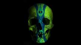 Free download Skull Abstract Colour -  free video to be edited with OpenShot online video editor