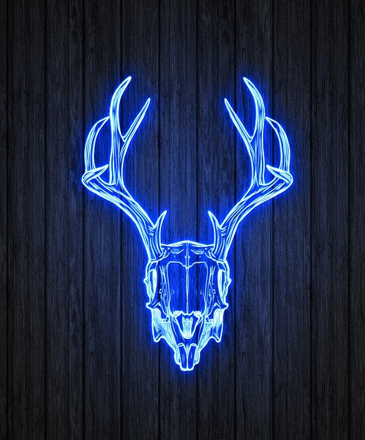 Free download Skull Blue Glow -  free illustration to be edited with GIMP free online image editor