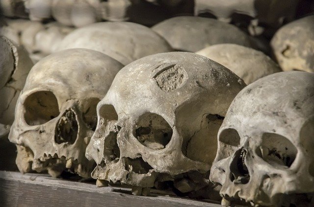 دانلود رایگان Skull Cemetery Trauma - عکس یا تصویر رایگان قابل ویرایش با ویرایشگر تصویر آنلاین GIMP