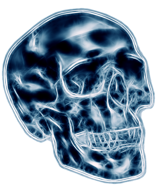 Free download Skull Death Halloween -  free illustration to be edited with GIMP free online image editor