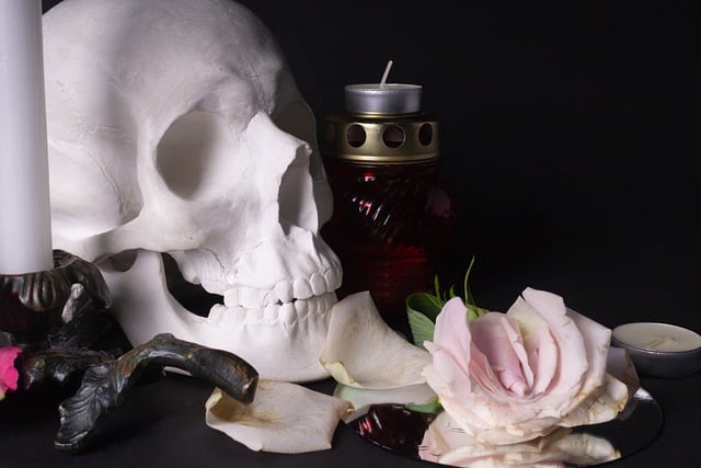 Free download skull flower candle death free picture to be edited with GIMP free online image editor
