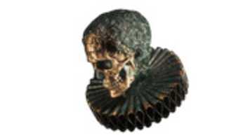 Free download skull-removebg-preview free photo or picture to be edited with GIMP online image editor