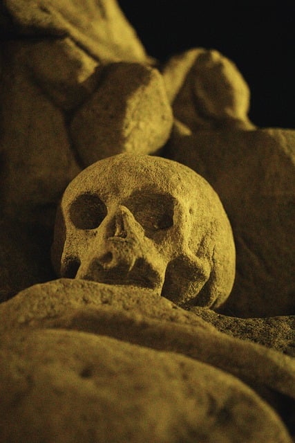 Free download skull sculpture horror death free picture to be edited with GIMP free online image editor