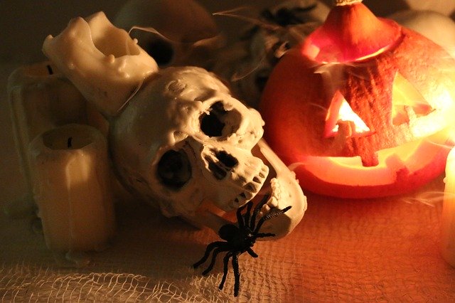 Безкоштовно завантажте Skull Spider Pumpkin - безкоштовну фотографію або зображення для редагування за допомогою онлайн-редактора зображень GIMP