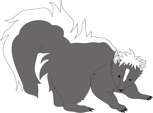 Free download Skunk Gray Animal - Free vector graphic on Pixabay free illustration to be edited with GIMP free online image editor
