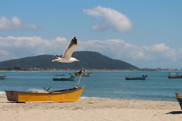 ດາວ​ໂຫຼດ​ຟຣີ Sky Beach Clouds - ຟຣີ​ຮູບ​ພາບ​ຫຼື​ຮູບ​ພາບ​ທີ່​ຈະ​ໄດ້​ຮັບ​ການ​ແກ້​ໄຂ​ທີ່​ມີ GIMP ອອນ​ໄລ​ນ​໌​ບັນ​ນາ​ທິ​ການ​ຮູບ​ພາບ​