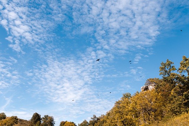Scarica gratuitamente Sky Birds Golden Autumn: foto o immagine gratuita da modificare con l'editor di immagini online GIMP