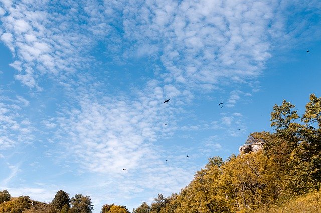 Bezpłatne pobieranie Sky Birds Golden Autumn - bezpłatne zdjęcie lub obraz do edycji za pomocą internetowego edytora obrazów GIMP