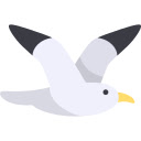 Skybound Seagull  screen for extension Chrome web store in OffiDocs Chromium