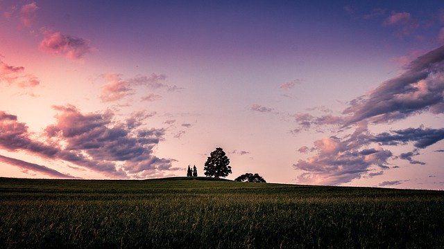 Безкоштовно завантажте Sky Cloud Tree – безкоштовну фотографію чи зображення для редагування за допомогою онлайн-редактора зображень GIMP